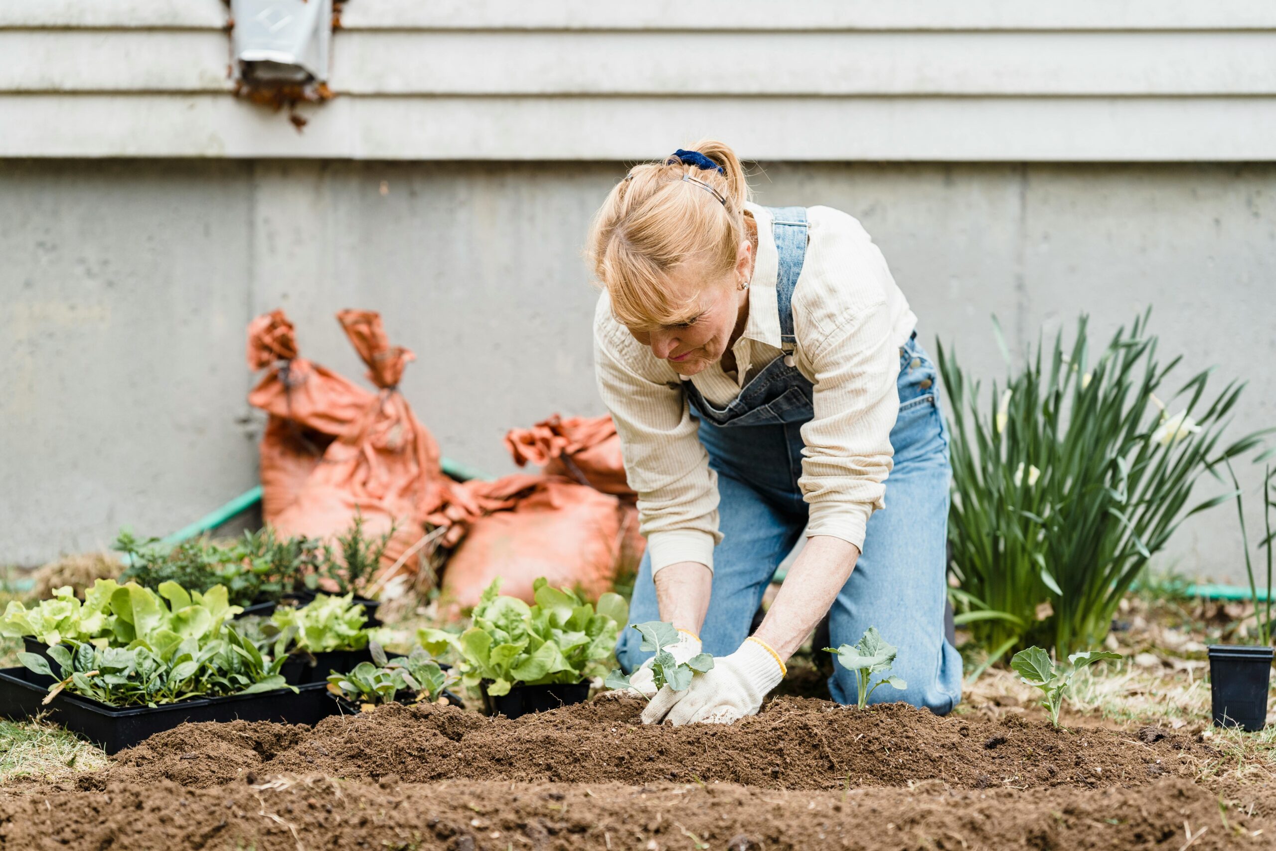 Cool people call 811 before they dig